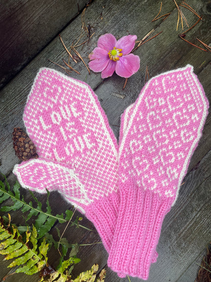 Love is love mittens Adult