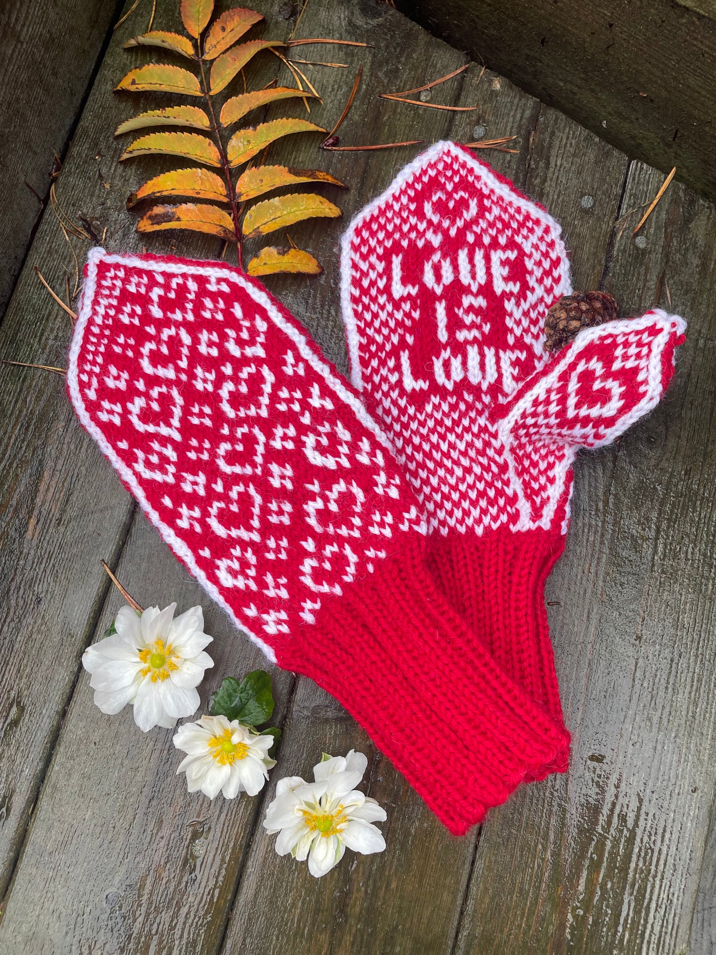 Love is love mittens Adult