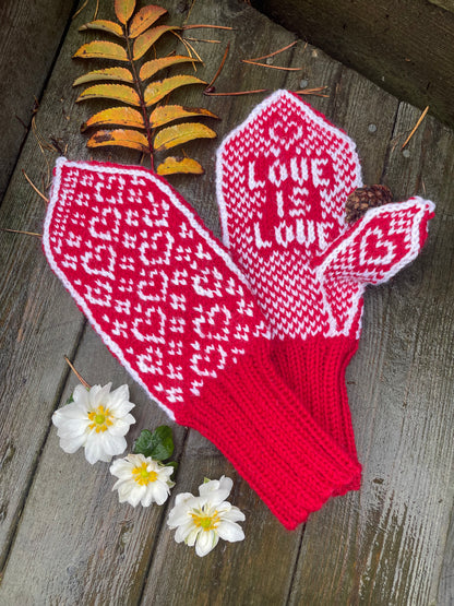 Love is love mittens Adult