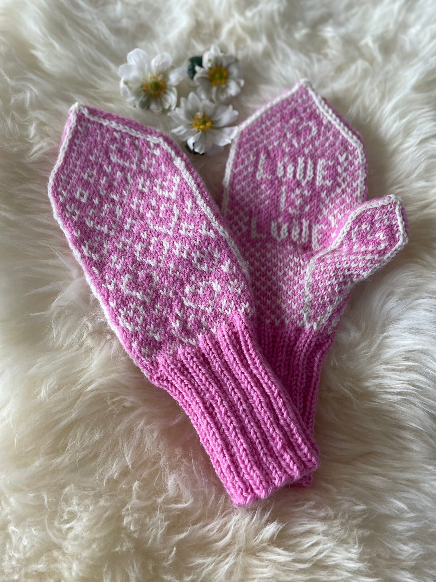 Love is love mittens Adult
