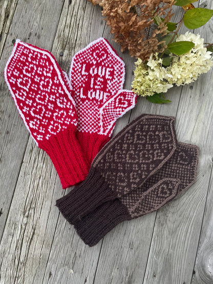 Love is love mittens Adult