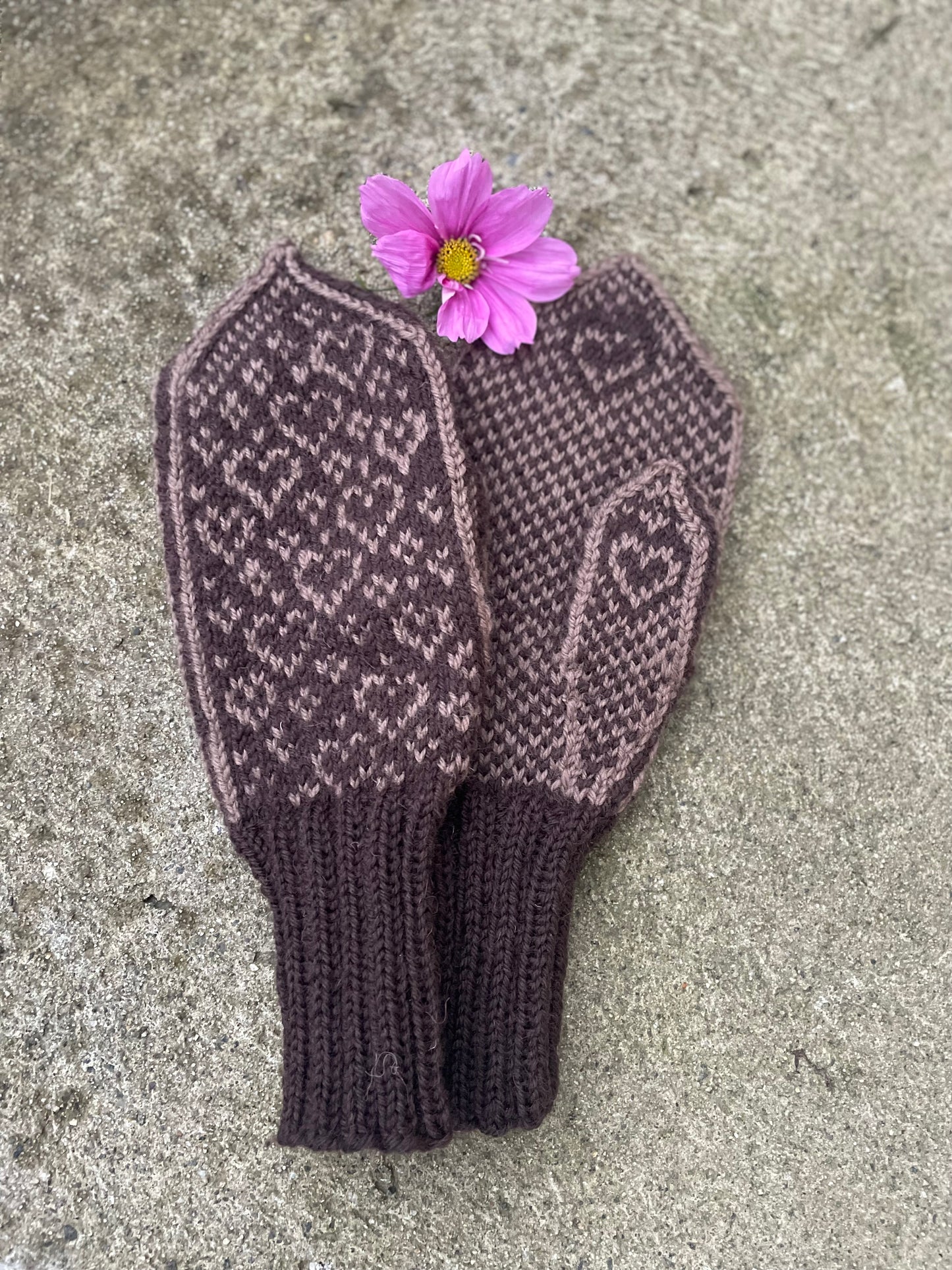 Love is love mittens Adult