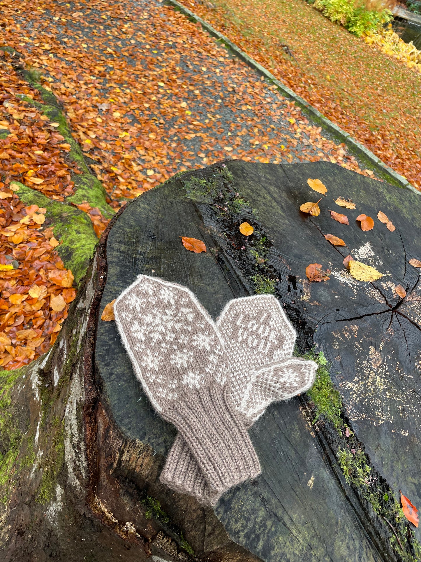 I Love You Snowflake Mitten Adult