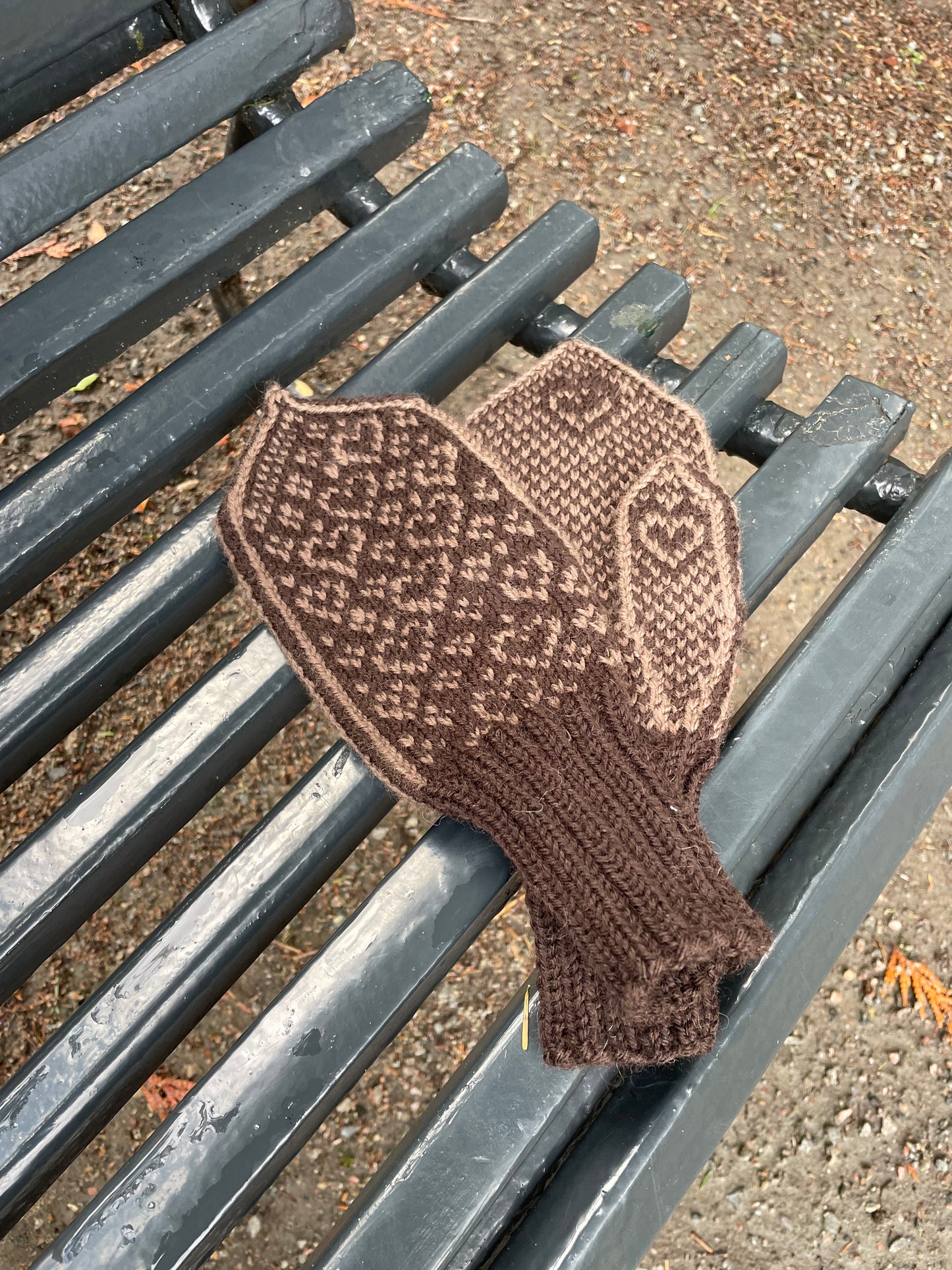 Love is love mittens Adult