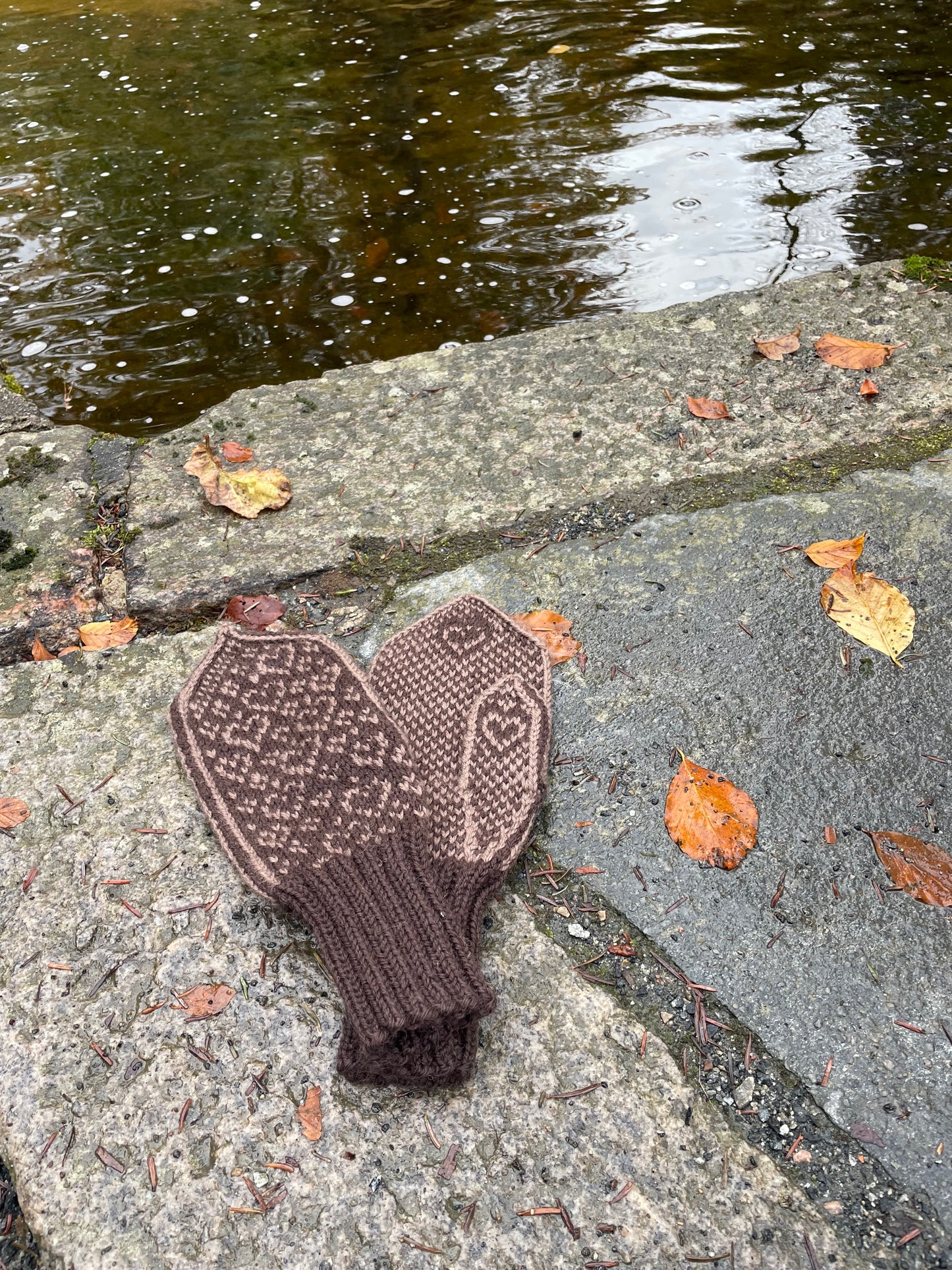 Love is love mittens Adult