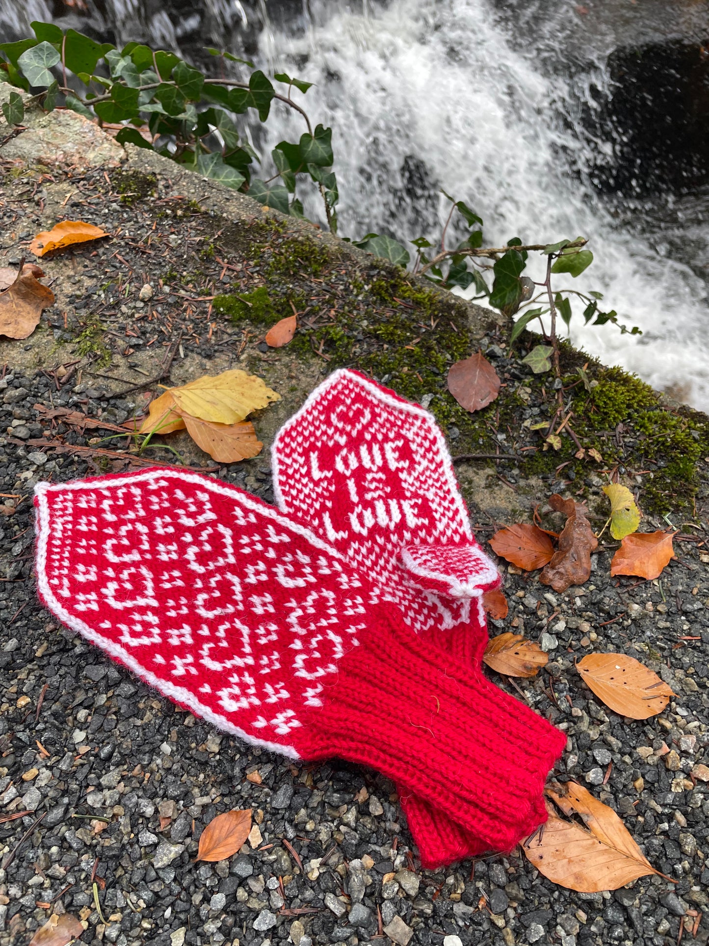 Love is love mittens Adult