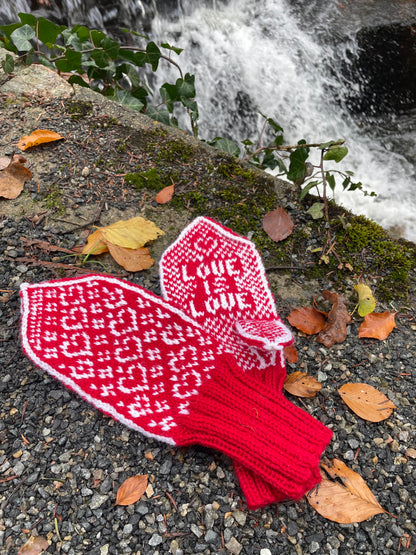 Love is love mittens Adult