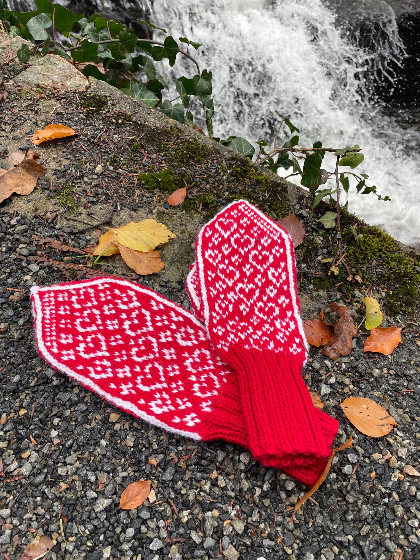 Love is love mittens Adult