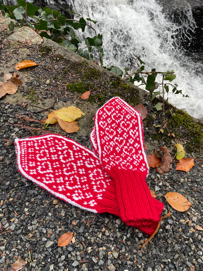 Love is love mittens Adult