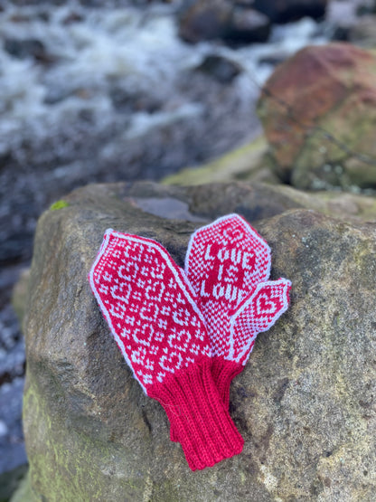 Love is love mittens Adult