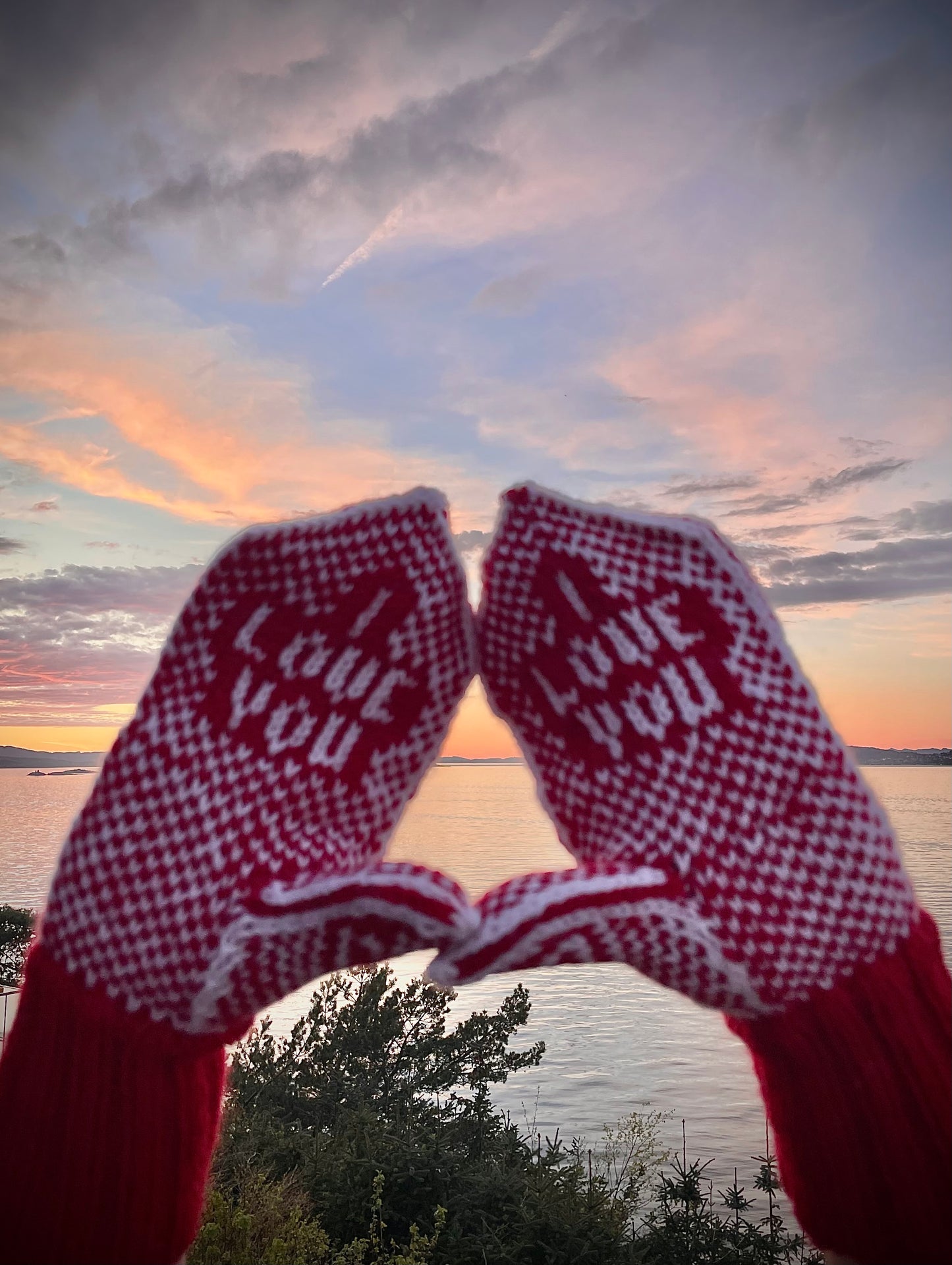 I Love You Heart Mitten Adult